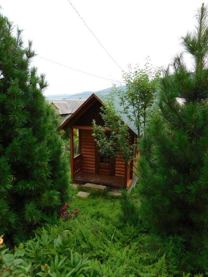Glanz Cottage Jaremče Exteriér fotografie